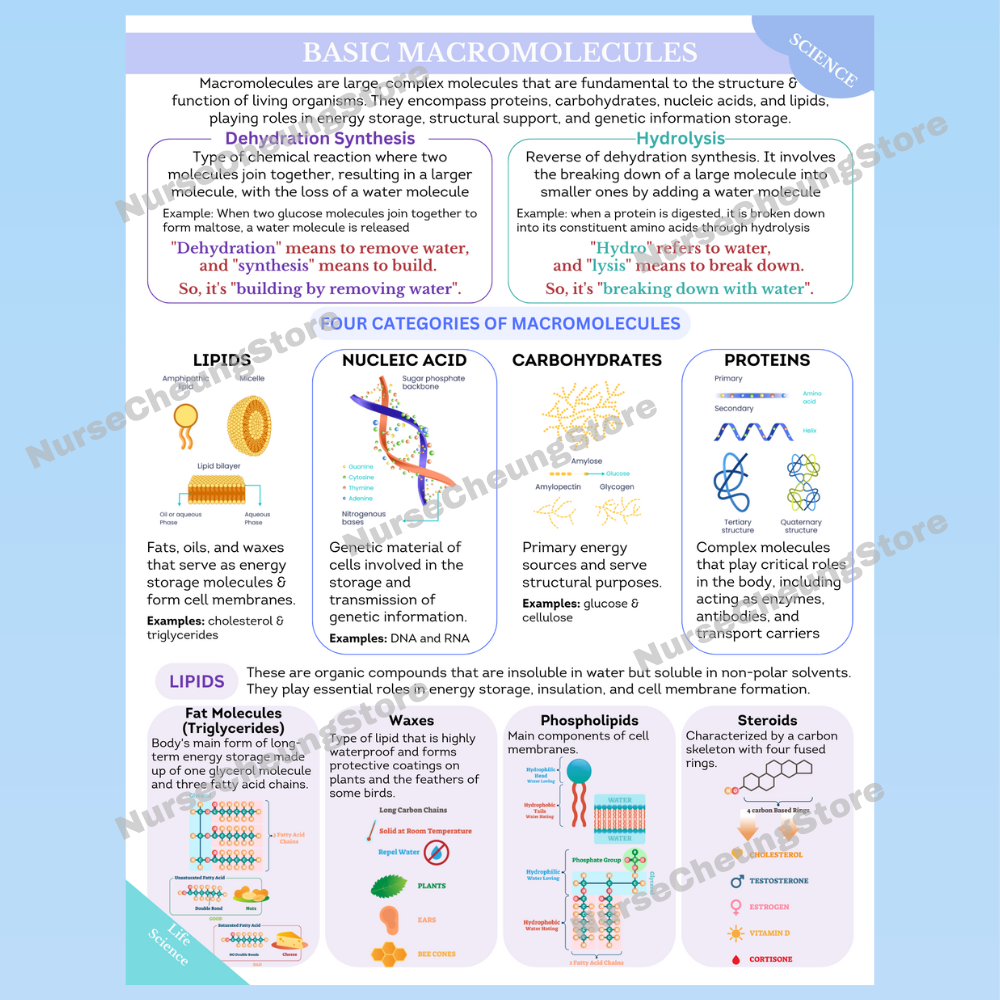 ATI TEAS 7 Science Comprehensive Study Guide by NurseCheung - In-depth Review with 50 Practice Questions (DIGITAL DOWNLOAD)