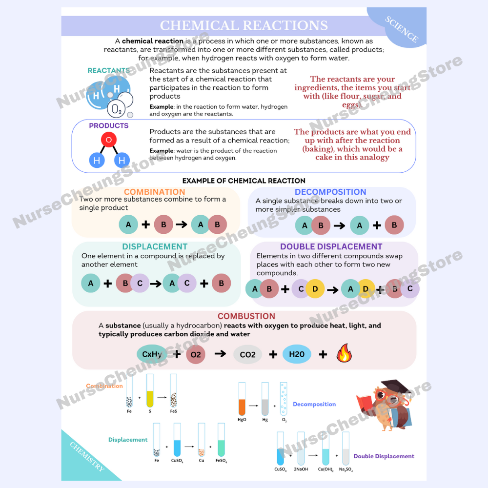 ATI TEAS 7 Science Comprehensive Study Guide by NurseCheung - In-depth Review with 50 Practice Questions (DIGITAL DOWNLOAD)