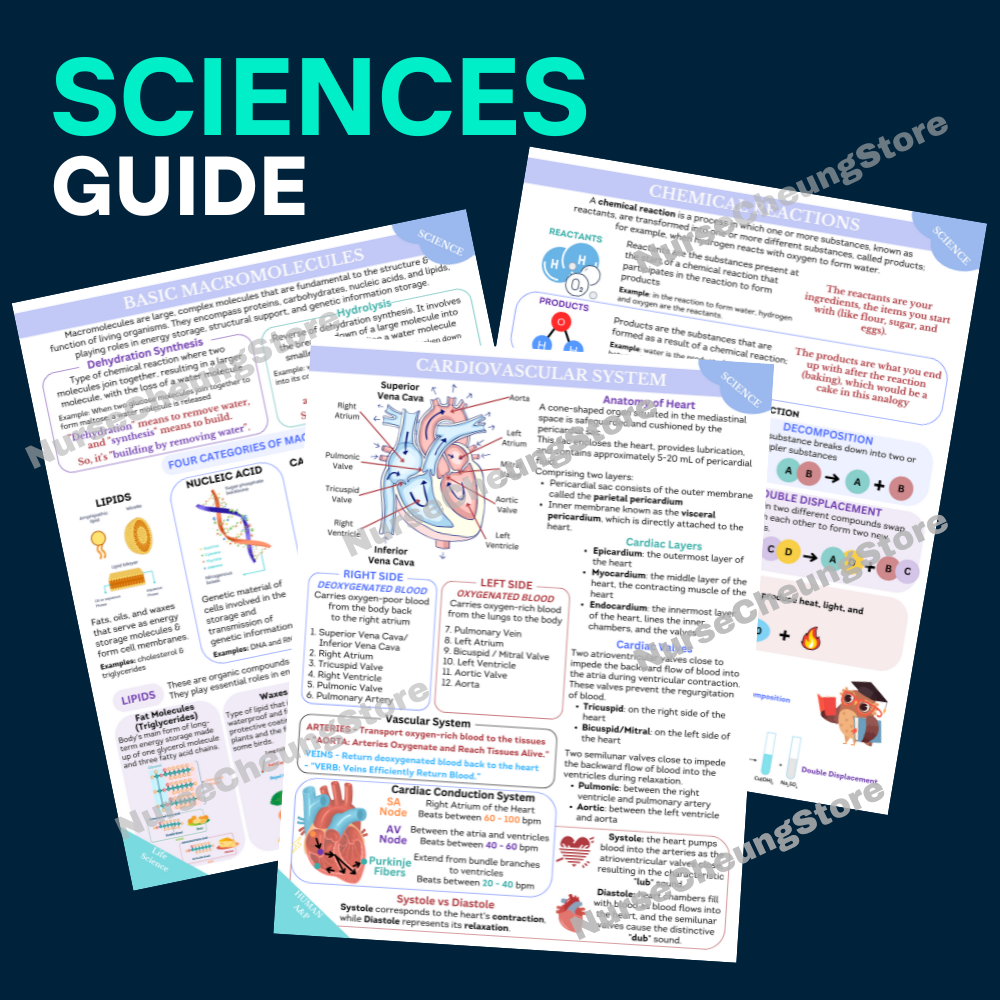 Complete ATI TEAS V7 Study Guide 2026 - 2027 by NurseCheung with 170 + Practice Test Questions and Answers | DIGITAL download