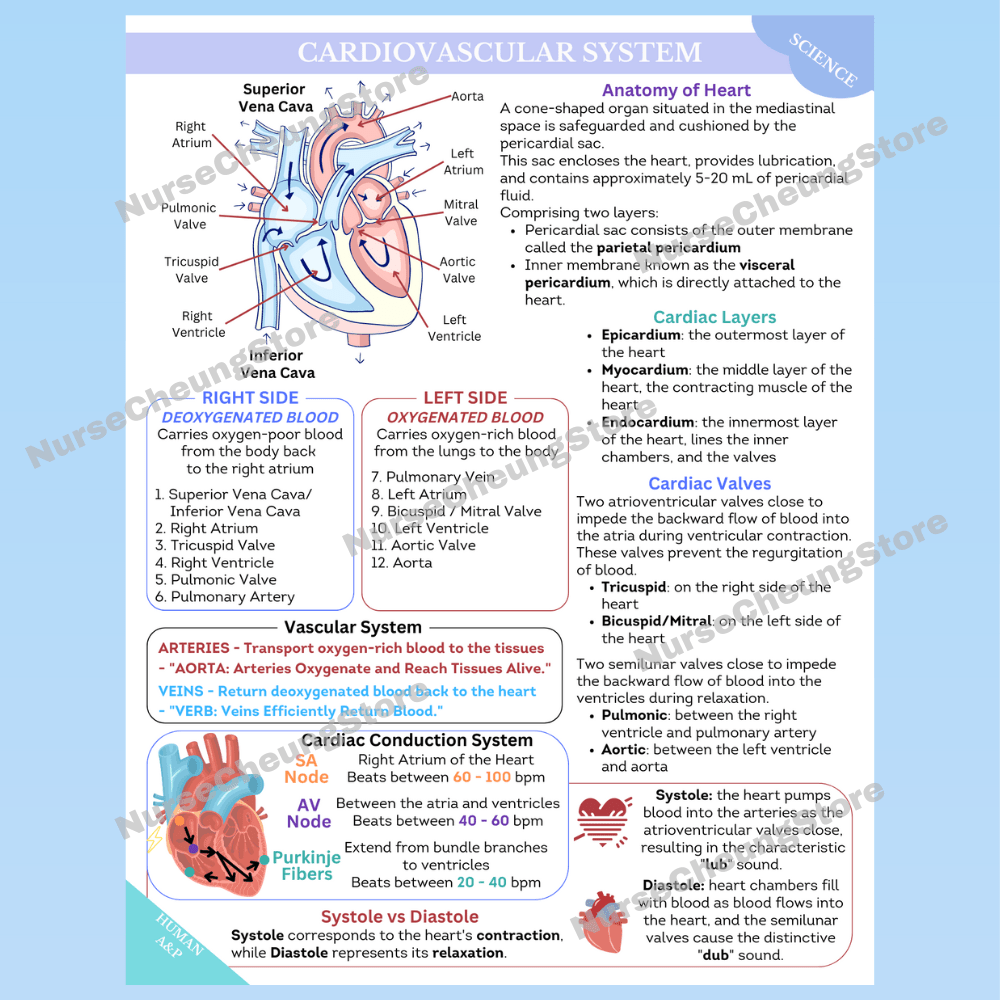 ATI TEAS 7 Science Comprehensive Study Guide by NurseCheung - In - depth Review with 50 Practice Questions (DIGITAL DOWNLOAD) - NurseCheungStore