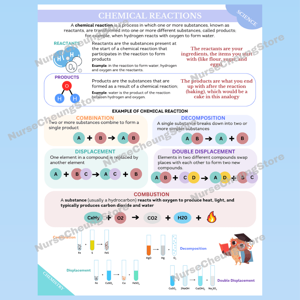 ATI TEAS 7 Science Comprehensive Study Guide by NurseCheung - In - depth Review with 50 Practice Questions (DIGITAL DOWNLOAD) - NurseCheungStore