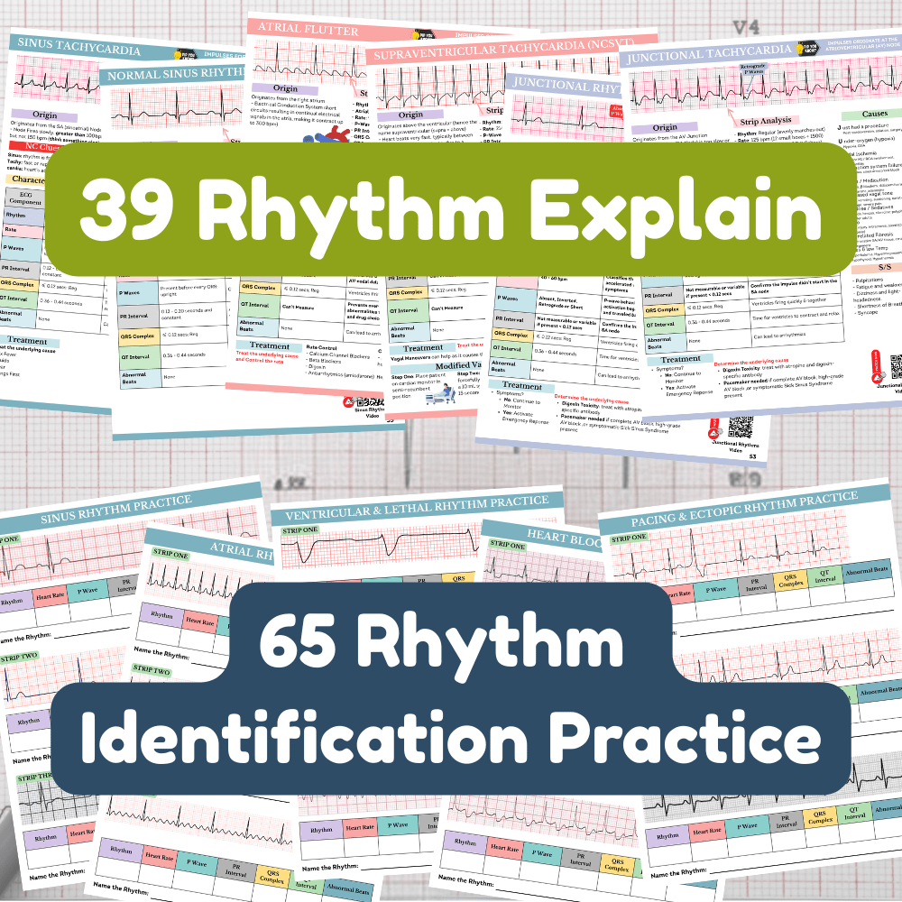 EKG & Dysrhythmia Interpretation Guide (Digital PDF) - NurseCheungStore