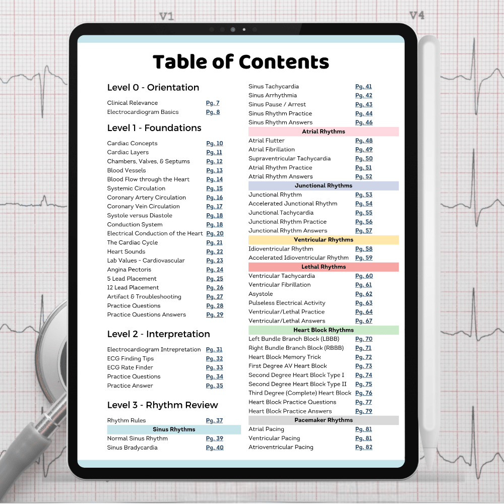 EKG & Dysrhythmia Interpretation Guide (Digital PDF) - NurseCheungStore