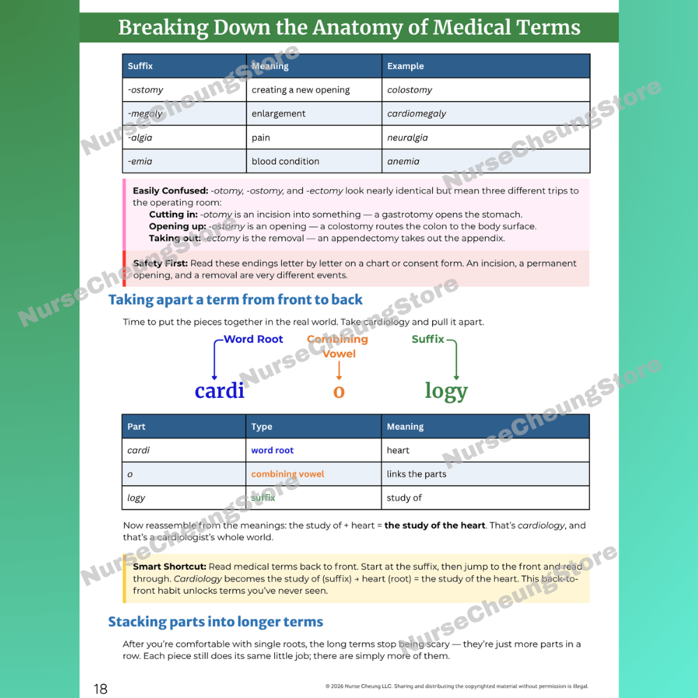 Medical Terminology Workbook (Digital PDF) - NurseCheungStore