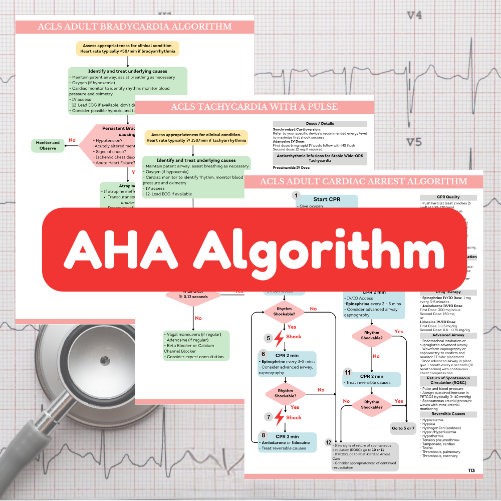 Nurse Cheung EKG Study Guide preview showing official AHA ACLS algorithms for Adult Bradycardia, Tachycardia with a Pulse, and Cardiac Arrest protocols.