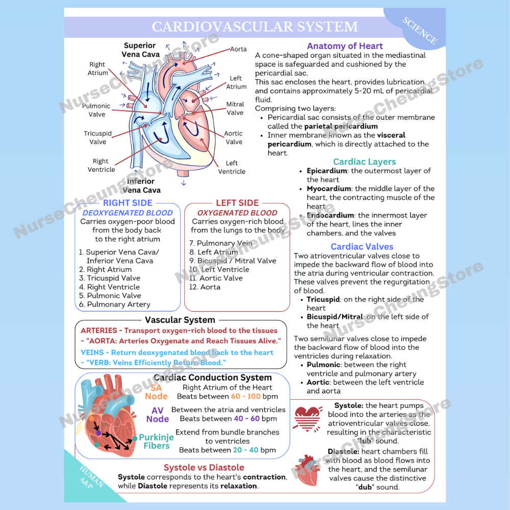 ATI TEAS 7 Science Comprehensive Study Guide by NurseCheung - In-depth Review with 50 Practice Questions (DIGITAL DOWNLOAD)