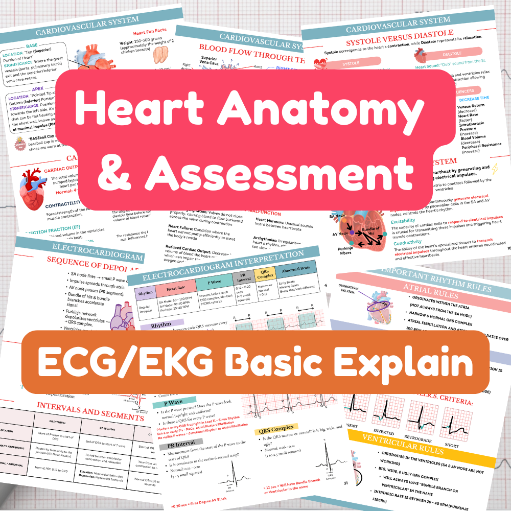 Complete ECG Interpretation Study Guide with 100+ Practice Test and Rhythm Identification with Answers | Digital Download