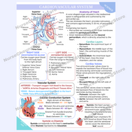ATI TEAS 7 Science Comprehensive Study Guide by NurseCheung - In-depth
