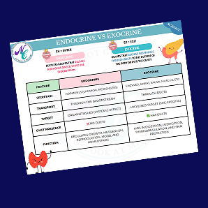 endocrine / hormone guide