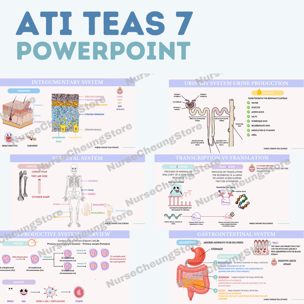 ATI TEAS V7 Comprehensive PowerPoint by NurseCheung | 650+ Slides | DIGITAL download