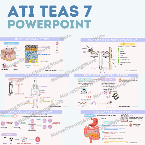 ATI TEAS V7 Comprehensive PowerPoint by NurseCheung | 650+ Slides | DIGITAL download - NurseCheungStore
