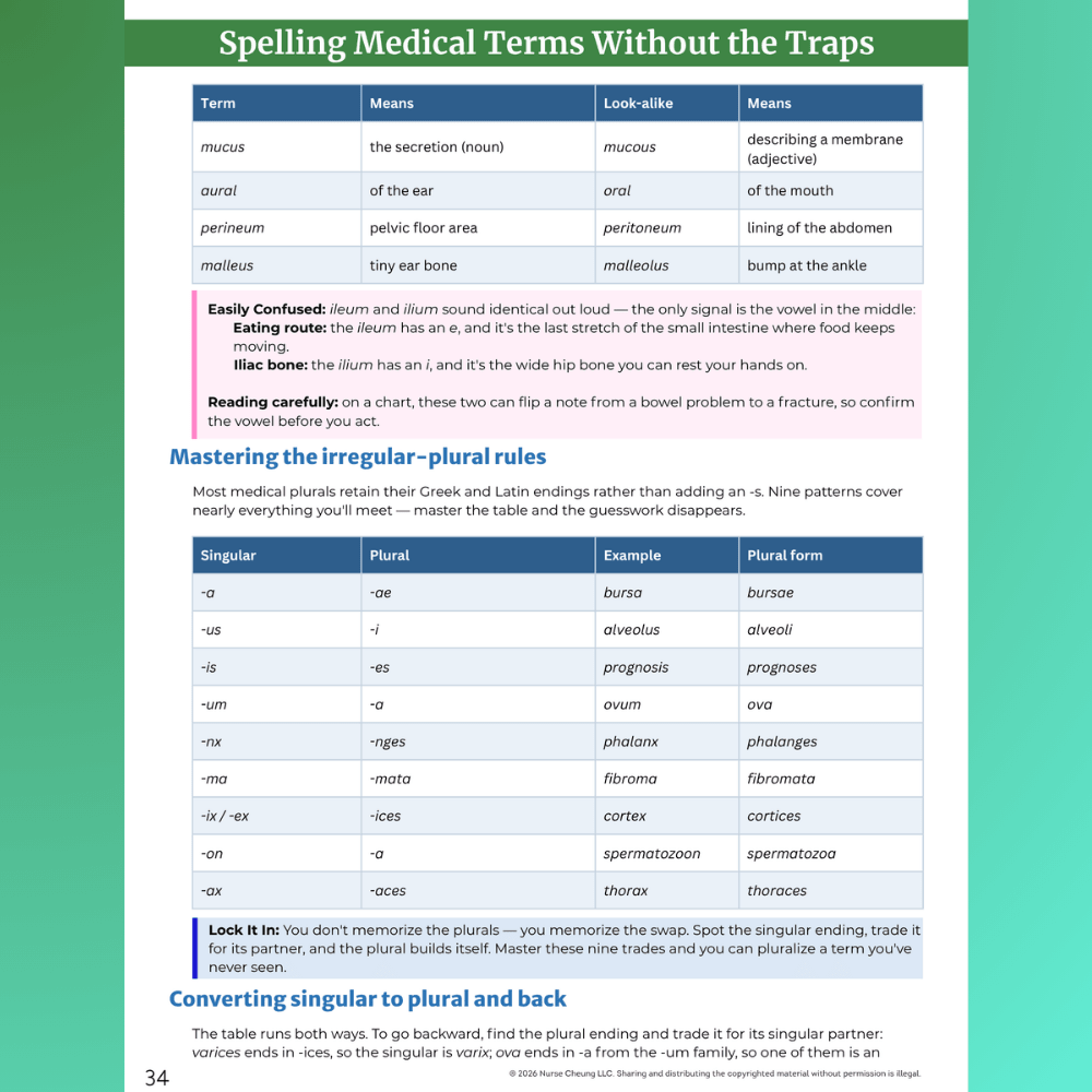 Medical Terminology Workbook (Digital PDF) - NurseCheungStore